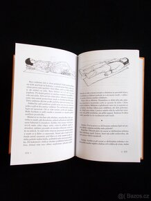 Krocení tygra - Tibetská učení pro všední život - 5