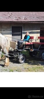Vagoneta, kočár, vůz,bryčka - 5