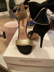 rinascimento lodicky - 5