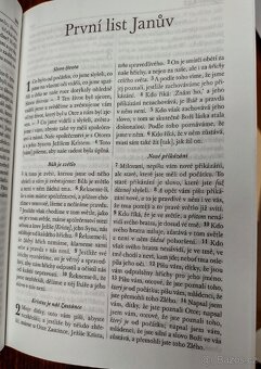 Nový Zákon, Evangelium - 5