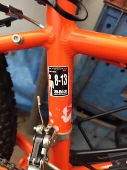 Horské kolo Superior Paint 24 - 5