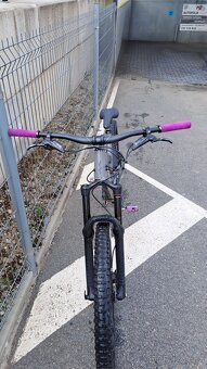 Yt capra 2019 - 5