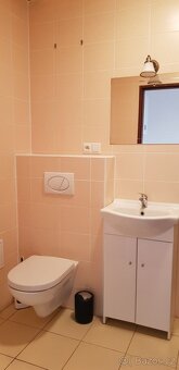 Pronájem zrekonstruovaného bytu 2+kk, Hálkova ulice, Plzeň - 5