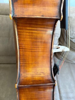 Krásné Violoncello - 5