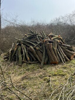 Palivové dříví - 5