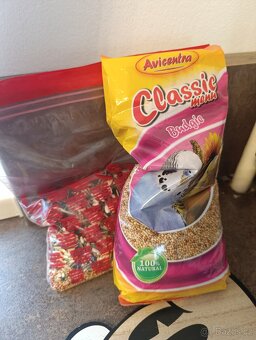 Agapornis-papoušek Fischerův vč.vybavení - 5