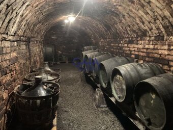 Krumvíř - Prodej vinného sklepa s menší zahrádkou - 62m2 - 5