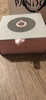 Pandora MOMENTS srdce 17cm - 5