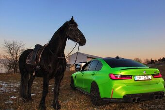 Wrap folie zelena matná - 5