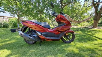Honda PCX 125 (06/2022) - 5