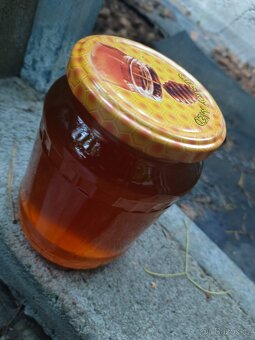 Med luční, med Lípa, med Akát přímo od včelaře 185 Kč. Plzeň - 5