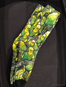 Papoušci papoušek korela andulka žako - 5