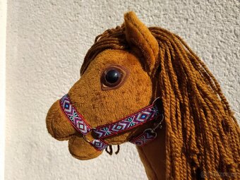 Hobby horse - 5