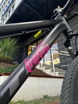 CTM DIRTKING 2020 - 5