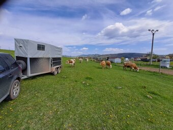 Certifikovaná přeprava hospodářských zvířat a koní - 5