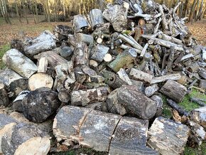 palivové dřevo z listnatých stromů - 5