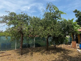 Zahrada s chatkou v Lounech, 303 m² - 5