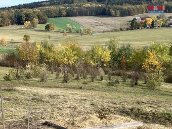 Prodej pozemku, Kamýk u Švihova (22356 m2) - 5