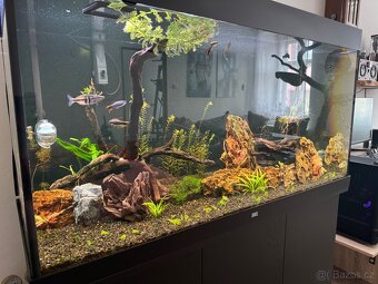 Kompletní set akvária Juwel Rio 350 LED s profi výbavou – TO - 5