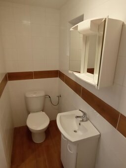 BEZ PROVIZE RK. Pronajmu atelier 1kk se zahrádkou Vršovice - 5
