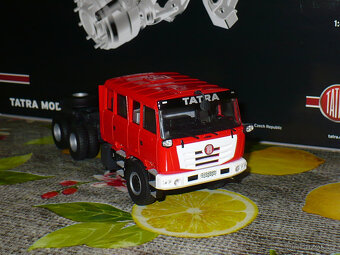 Model Tatra 815 Terra Hasiči nosič nástaveb - Limitka Kaden - 5
