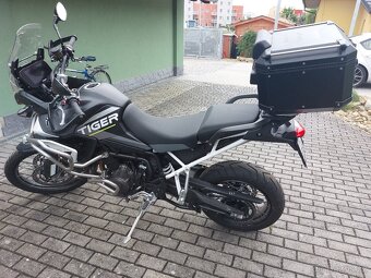 Triumph Tiger 900 rally aragón - 5