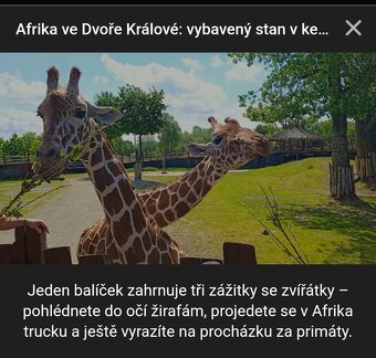 Safari voucher - 5