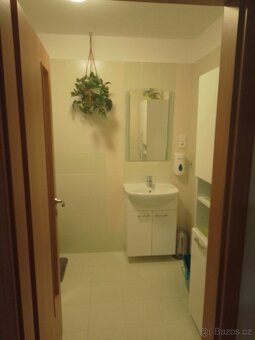 Pronájem 1+1 36m - 5
