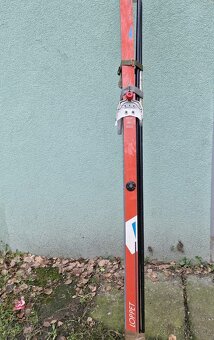 Běžky Rossignol (červené), hůlky a sjezdové boty nadměrná ve - 5