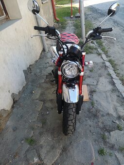 Honda Monkey 125 - 5