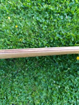 Longboard - 5