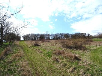 Pronájem hezkého pozemku 4859 m2 - louky, Svinařov - Smečno, - 5