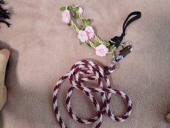 Hobby horse - 5