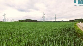 Prodej orné půdy 23 999 m2, Sentice – výjimečná bonitní půda - 5