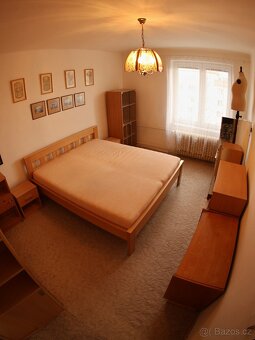 Prodej bytu 2+1,55 m²,Plzeň–Slovany,po rekonstrukci,bez RK - 5