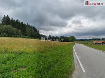 Prodej, louka, pozemek, Černá v Pošumaví - 5