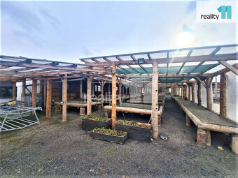 Pronájem, pozemek 1200 m2, tržnice Libenice - 5