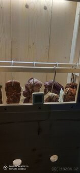 Sušící box na maso - 5