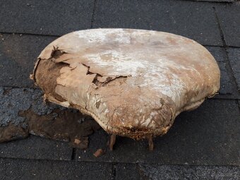 Sedlo Ogar 350, 1948, typ 12 - 5