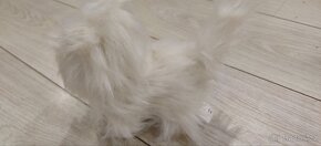 Bílá kočka - interaktivní - 5