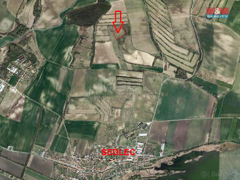 Prodej vinice, 9215 m², Sedlec - 5