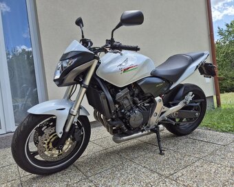 Honda Hornet CB600F - 5