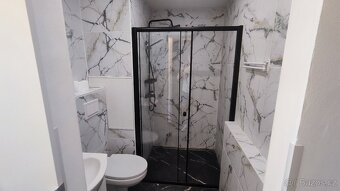 Pronájem bytu 1kk Lovosice - 5