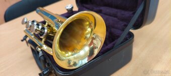 Pocket trumpet - 5