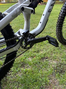 Canyon Torque 5 mullet - 5