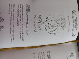 Fantastická zvířata – původní scénář (J.K. Rowlingová) - 5