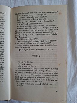 Rok na vsi kronika moravské dědiny - 5