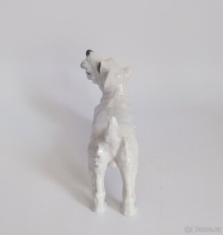 Porcelánová figura teriéra - Rosenthal - 5