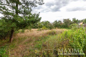 Pozemek  o ploše 3823 m2 - Dolní Beřkovice, Podvlčí - 5