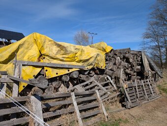 Palivové dřevo - 5